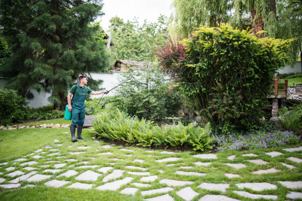 Best Affordable Pest Control Services  in Logan, NM