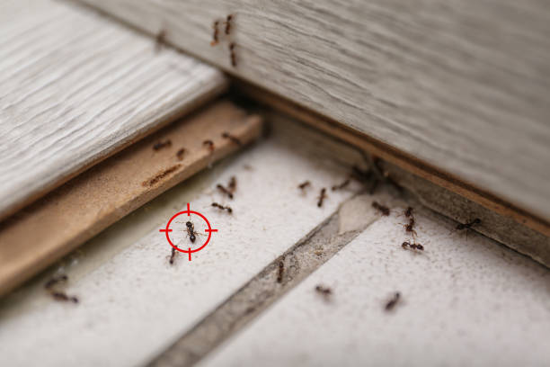 Best Commercial Pest Control Services  in Logan, NM