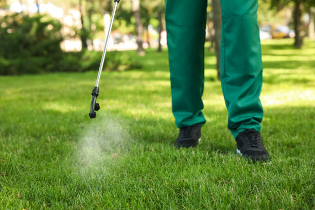 Best Exterminator Services  in Logan, NM
