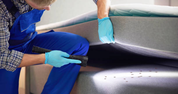 Best Pest Control Cost  in Logan, NM