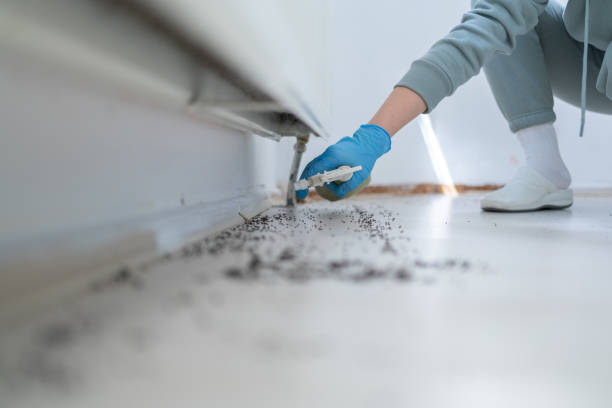 Professional Pest Control in Logan, NM